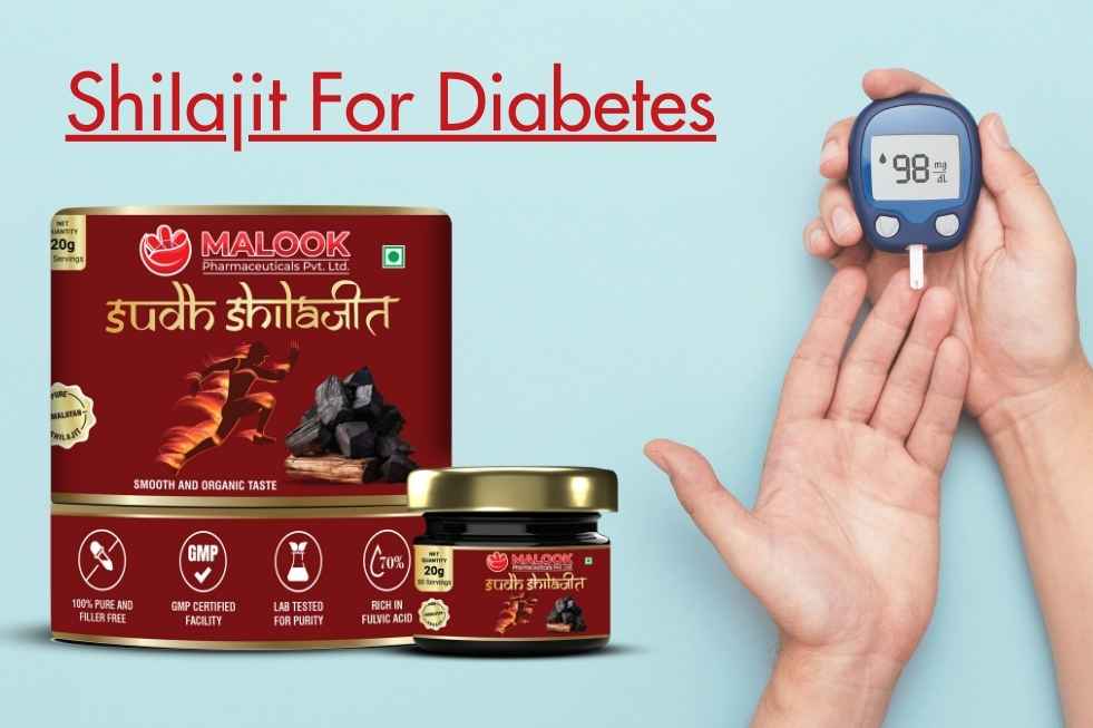 Is Shilajit Good for Diabetes? An Ayurvedic Perspective