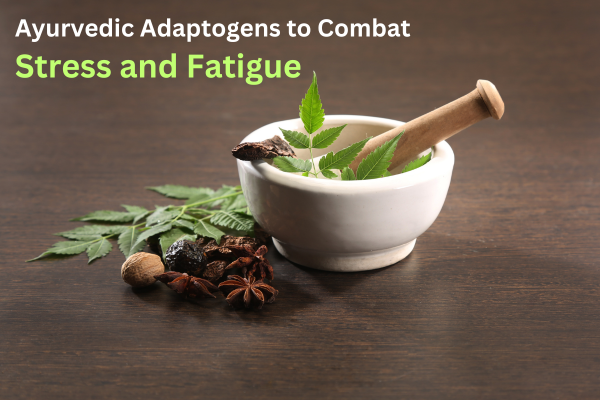 Ayurvedic Adaptogens to Combat Stress and Fatigue