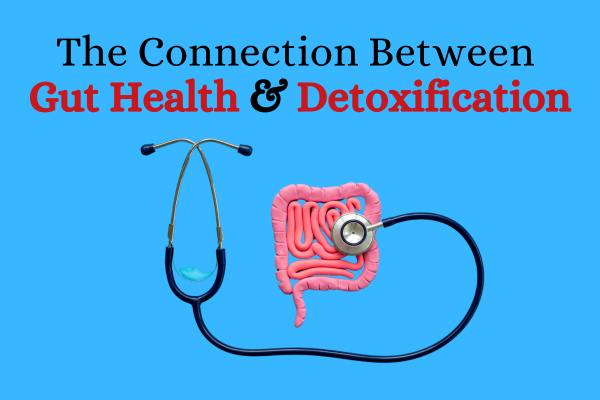 The Connection Between Gut Health and Detoxification