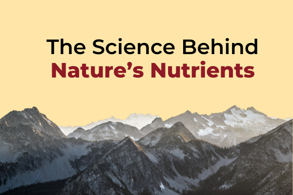 The Science Behind Nature’s Nutrients